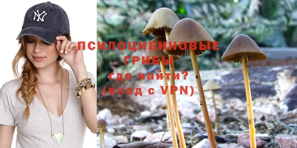 бутират Белокуриха