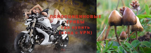 spice Беломорск